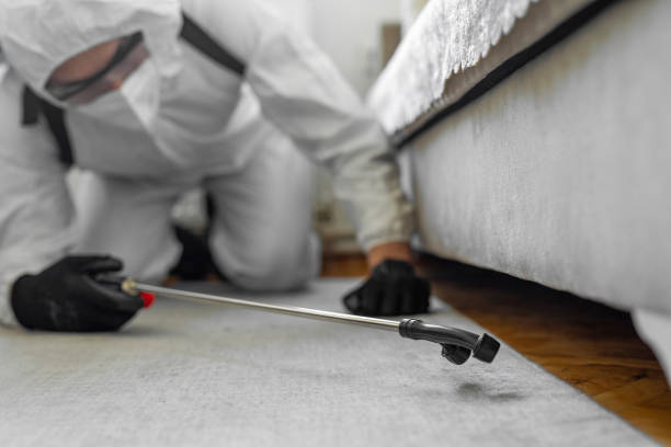 Professional Cockroach Control technician working in Angelina County County, TX